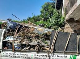 Best Residential Junk Removal  in Parks, AZ